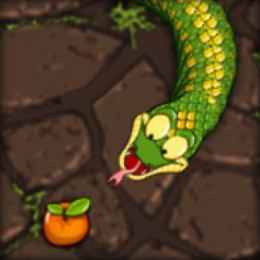 Snake Raid